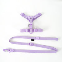 Korean Version Of Cat And Dog Pet Macaron H-type Collar Chest Back Lead Rope