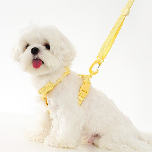 Korean Version Of Cat And Dog Pet Macaron H-type Collar Chest Back Lead Rope