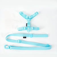 Korean Version Of Cat And Dog Pet Macaron H-type Collar Chest Back Lead Rope
